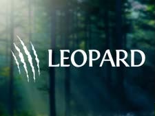 Przykładowa realizacja logo dla firmy Leopard